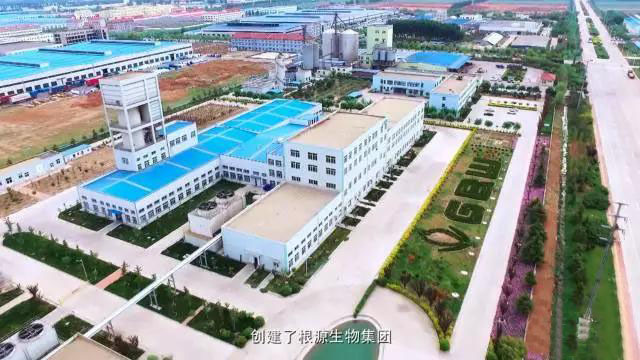 1495006220326607.jpg 2.jpg