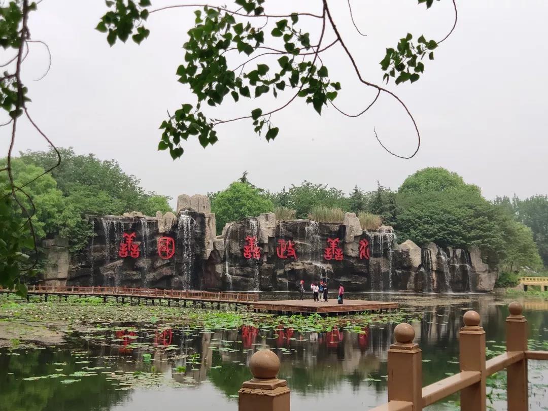 1562119470727588.jpg 99.jpg