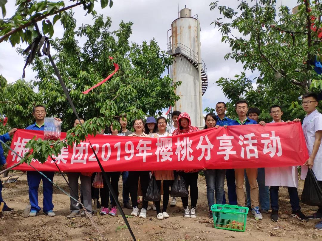 1562119652319809.jpg 1.jpg