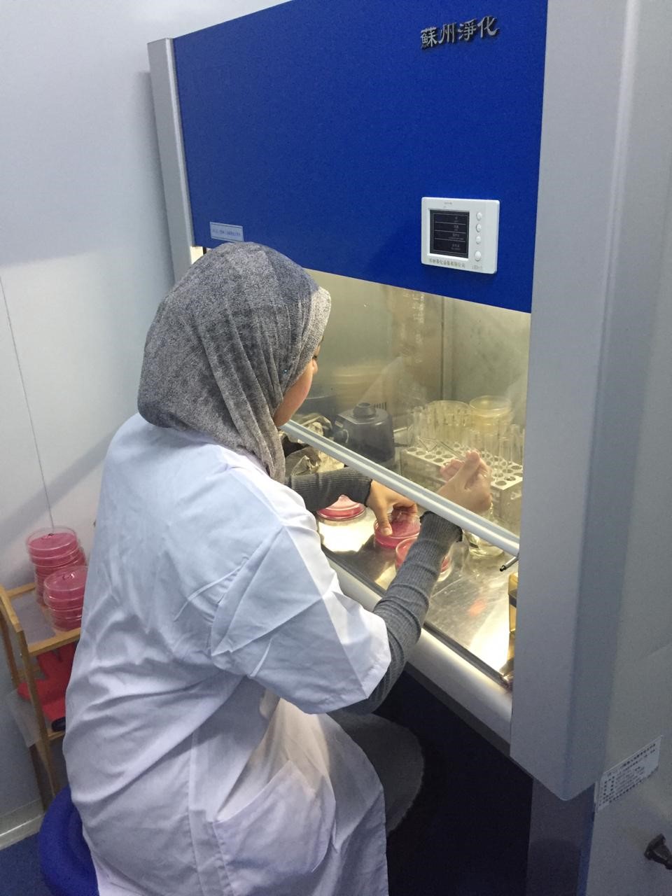 1572486392260916.jpg 4.jpg