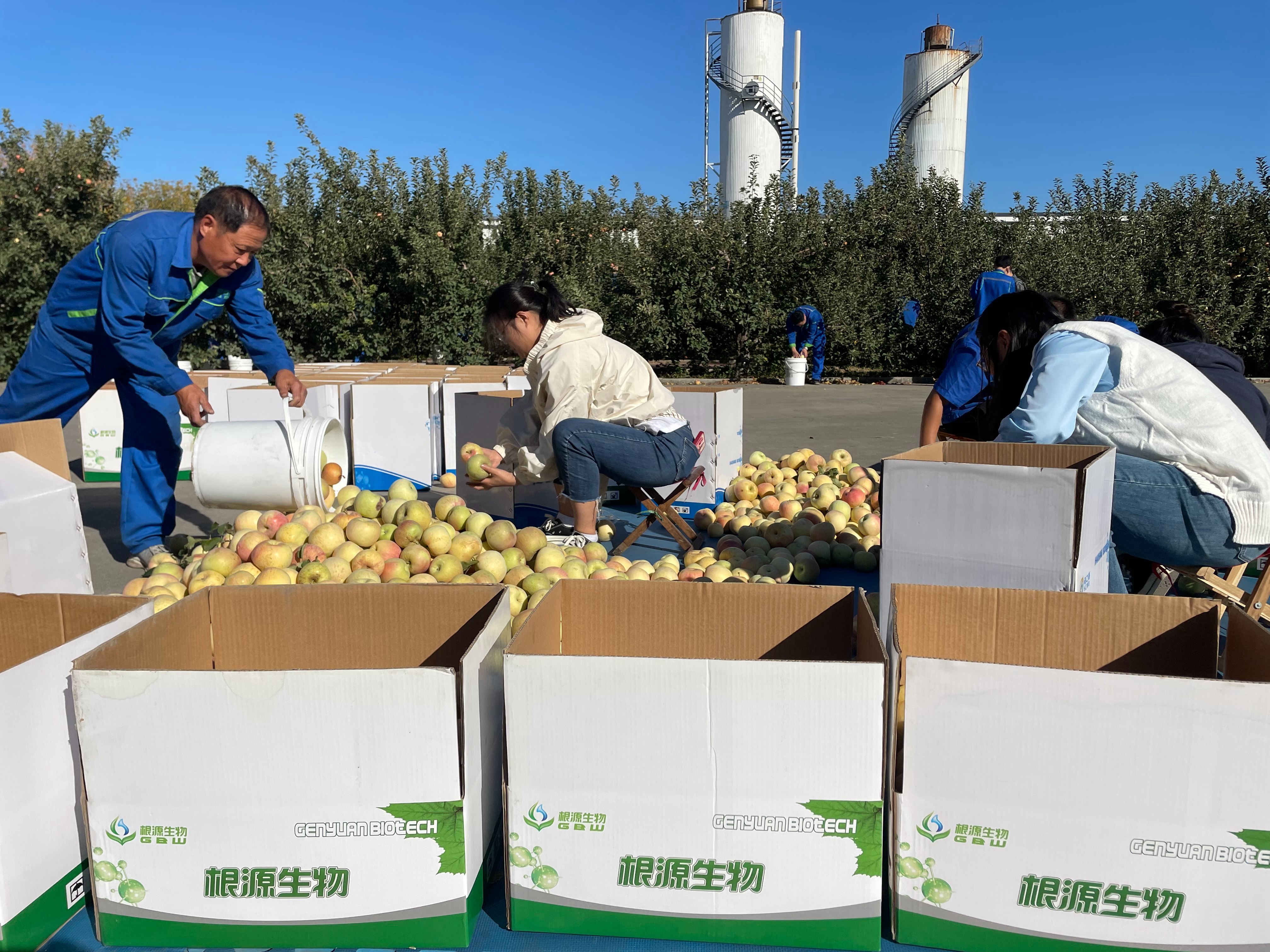 1700646408198326.jpg 4.jpg