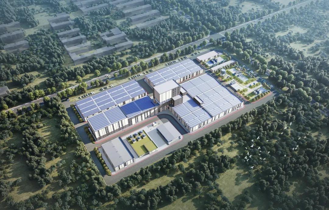 1735611755536870.jpg 2.jpg